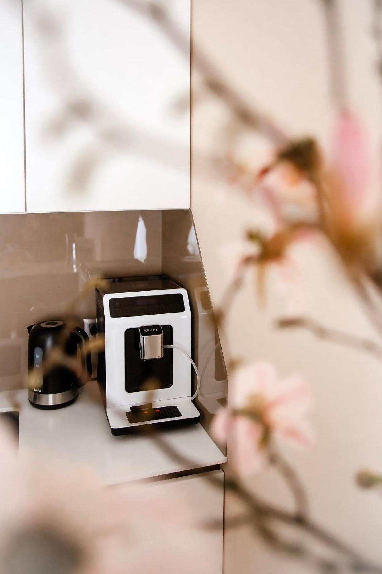 Bimba & Free Parking Apartment Posen